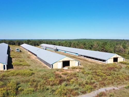 Mauk Farm, Mauk, GA : Mauk : Marion County : Georgia