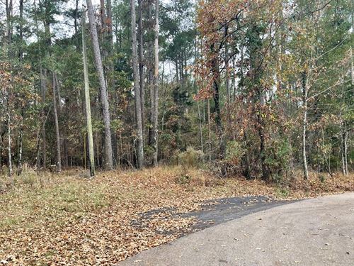 40 Acre Residential Development Tra : Flowood : Rankin County : Mississippi