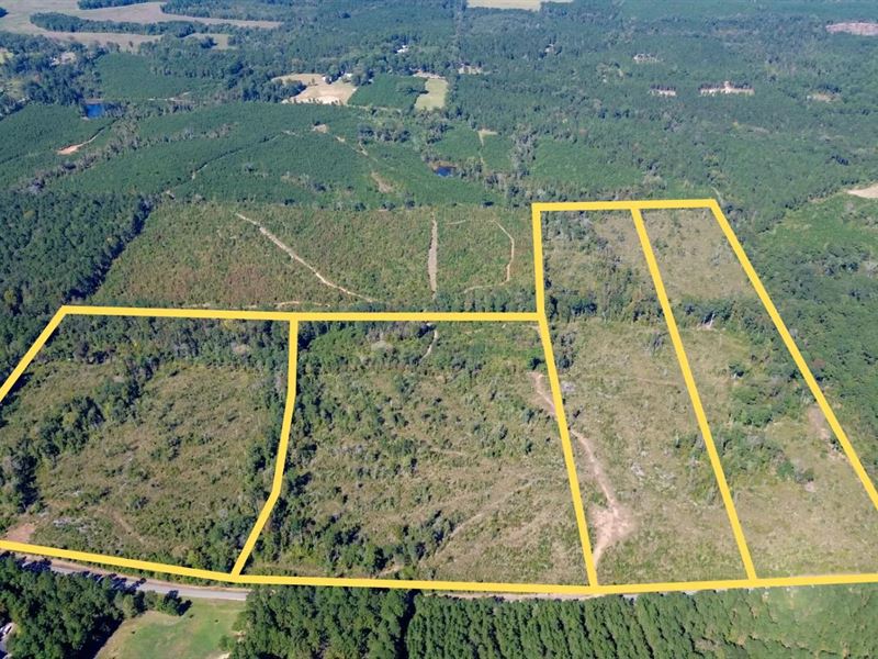 Affordable Lincoln Parish Land : Choudrant : Lincoln Parish : Louisiana