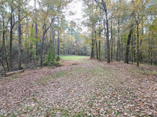Roxie Mississippi, 94 Acre Recreat : Roxie : Franklin County : Mississippi