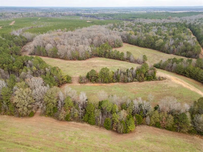 Timberland Farmland for Sale Clay : Mantee : Clay County : Mississippi