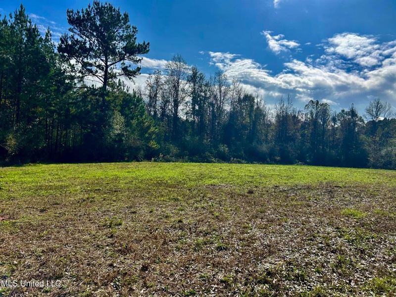 39.7 Acres in Brookhaven MS : Brookhaven : Lincoln County : Mississippi