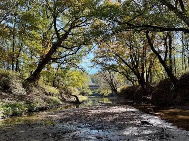 158.8 Acres Creek Frontage Clay Cou : Cedar Bluff : Clay County : Mississippi