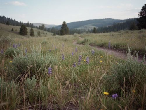 7.87 Acres, Flat Montana Land : Anaconda : Deer Lodge County : Montana