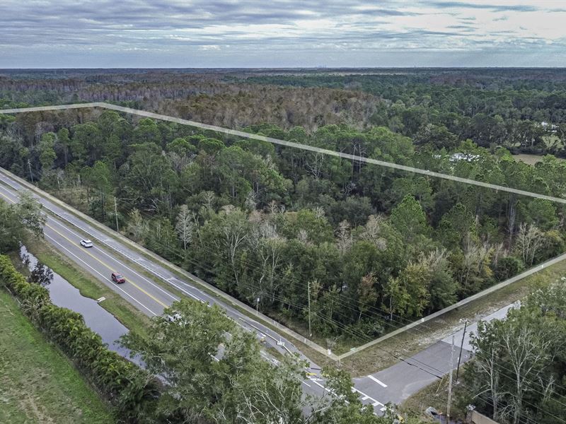 331 Appaloosa Road : Tarpon Springs : Pinellas County : Florida