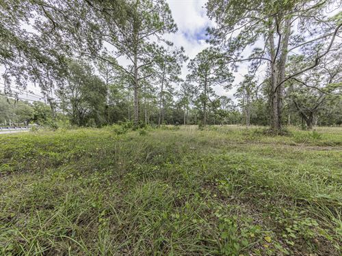 331 Appaloosa Road : Tarpon Springs : Pinellas County : Florida