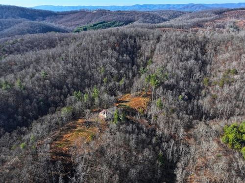 The Old Homeplace 122 Acres : Ferrum : Franklin County : Virginia