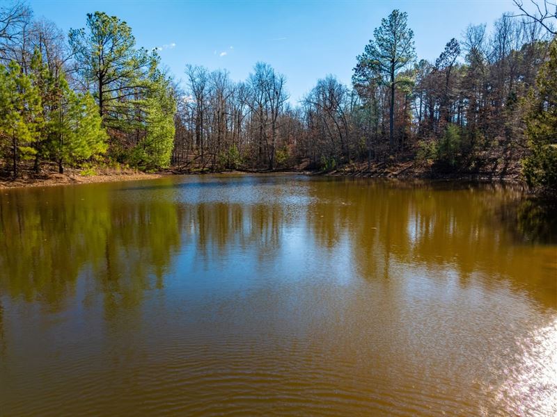 244 Acre Ozark Hunting Retreat : Mammoth Spring : Sharp County : Arkansas