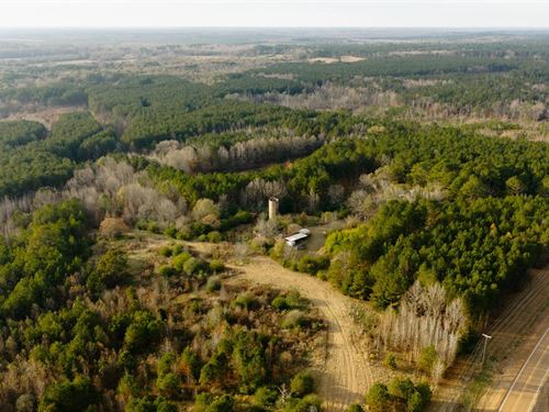 Antebellum Home on 302.6 Acres : Louisville : Winston County : Mississippi