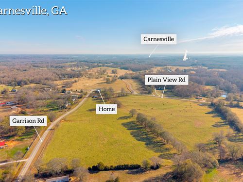 Farmhouse with 26 Acres : Carnesville : Franklin County : Georgia