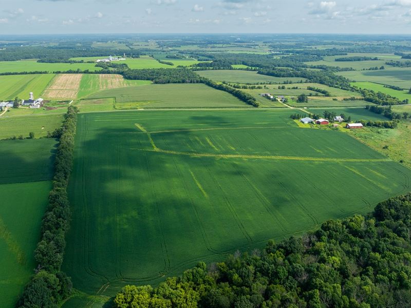 57 Acres St. Croix County, WI : Glenwood City : Saint Croix County : Wisconsin