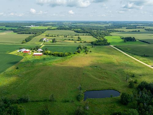 10 Acres St. Croix County, WI : Glenwood City : Saint Croix County : Wisconsin