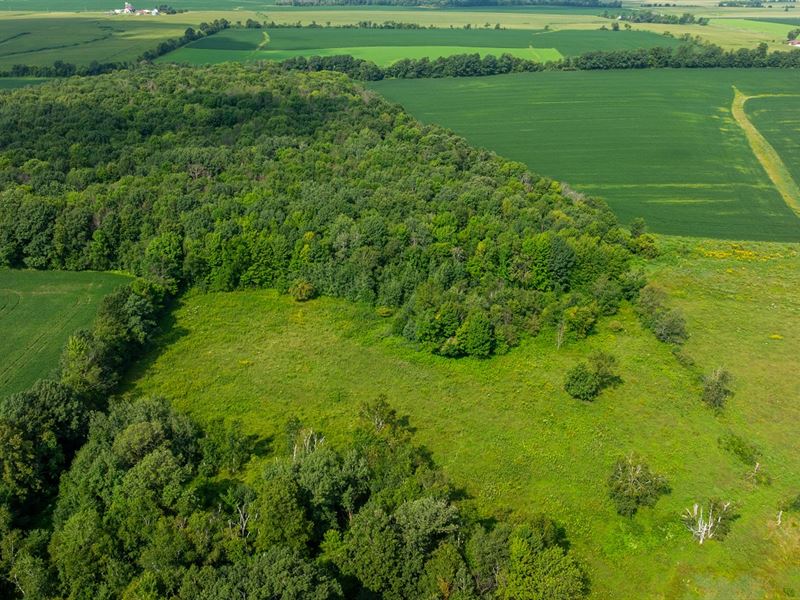 10 Acres St. Croix County, WI : Glenwood City : Saint Croix County : Wisconsin