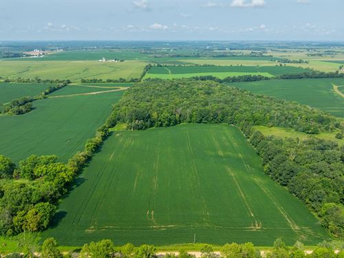 13.50 Acres St. Croix County, WI : Glenwood City : Saint Croix County : Wisconsin