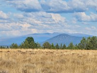 5.42 Acres Now Just $29,900 : Sprague River : Klamath County : Oregon