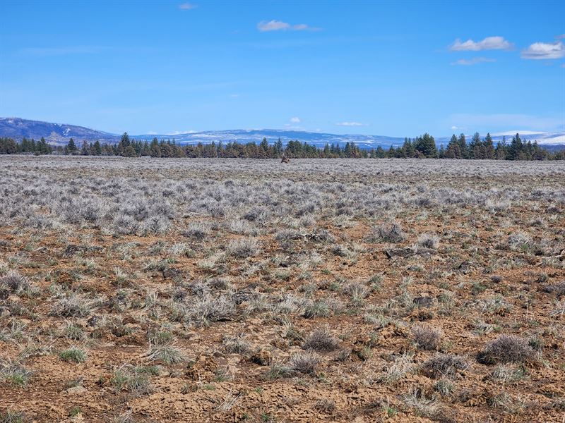 Give The Gift of Land, Discounted : Sprague River : Klamath County : Oregon
