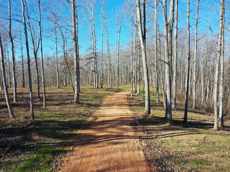 Beautiful Homesite with Acreage : Nunnelly : Hickman County : Tennessee