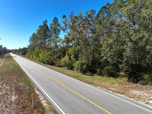 21 Acres Land For Sale in Brant : Hortense : Brantley County : Georgia