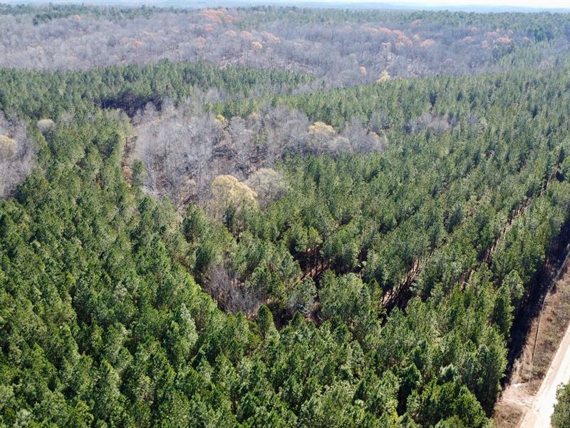 Cedar Creek Farm, 79 Ac in Rand : Roanoke : Randolph County : Alabama