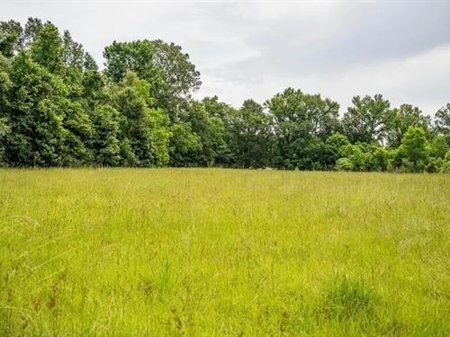 159 Acres in Port Hudson, Louisiana : Zachary : East Baton Rouge Parish : Louisiana