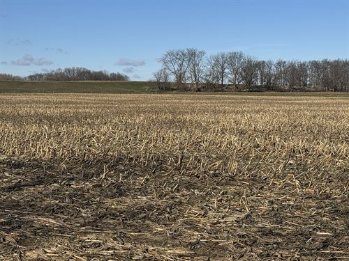 Land Auction, Fayette Co Indiana : Milton : Fayette County : Indiana