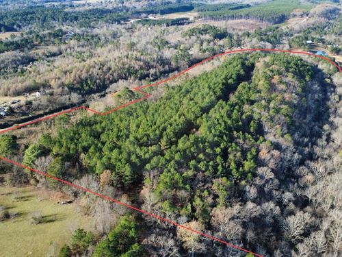 38.94 Acres Hot Spring County : Bismarck : Hot Spring County : Arkansas