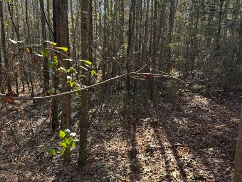 6.2 Acres in Crenshaw County, AL : Honoraville : Crenshaw County : Alabama