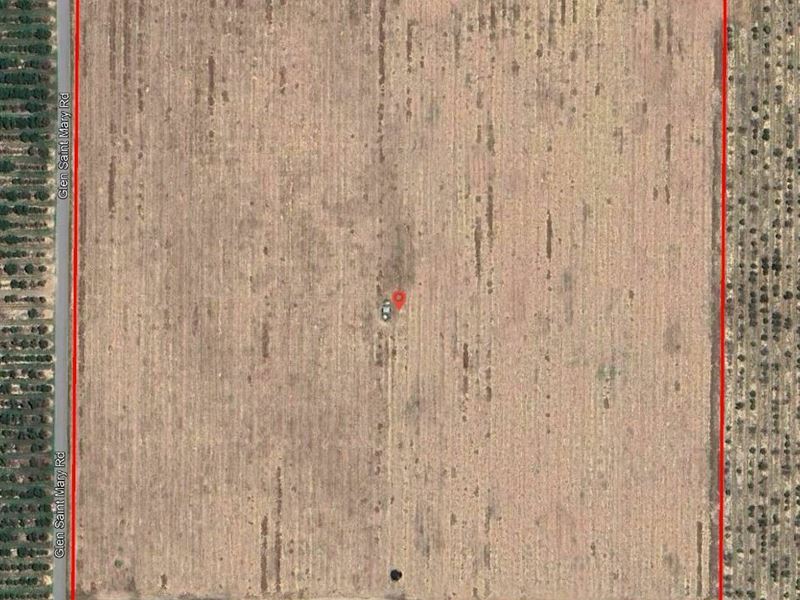 40.67 Secluded Acres in Lake Wales : Lake Wales : Polk County : Florida