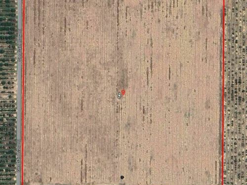 40.67 Secluded Acres in Lake Wales : Lake Wales : Polk County : Florida