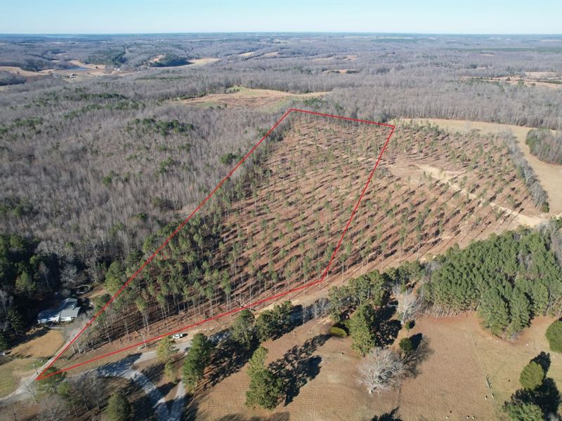 Gillchrist Road 22 Acres : Cypress Inn : Wayne County : Tennessee