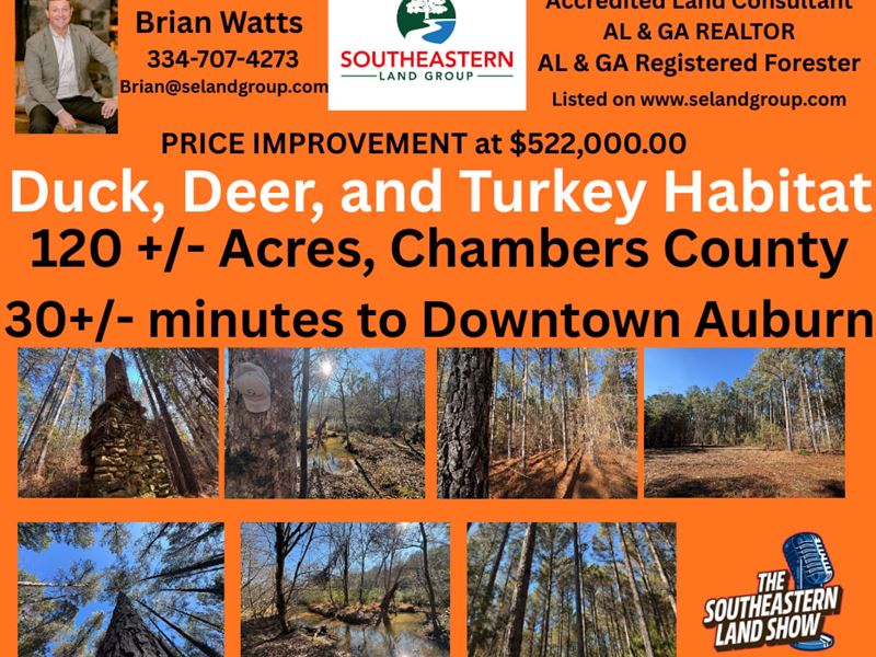 120 Acre Pine Plantation : Lafayette : Chambers County : Alabama