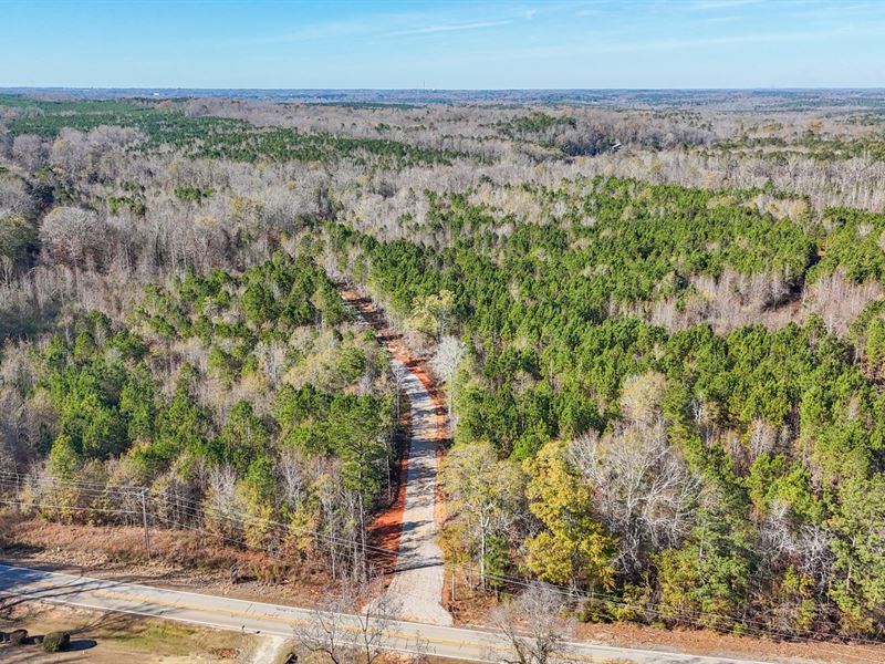 14 Unrestricted Acres Just Off Hwy : Opelika : Lee County : Alabama