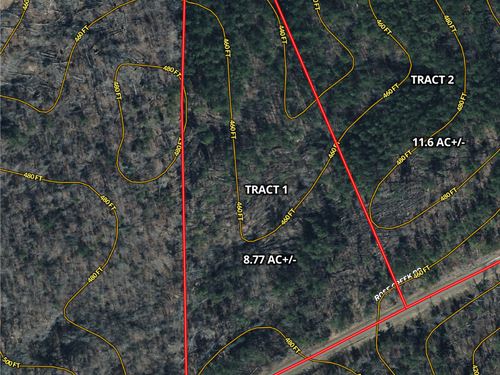 Unrestricted Wooded Land for Sale : Selmer : McNairy County : Tennessee