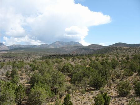 Diamond Mountain Ranches : Diamond Valley : Washington County : Utah