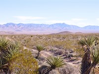 Retreat by Millions of Public Land : Dolan Springs : Mohave County : Arizona