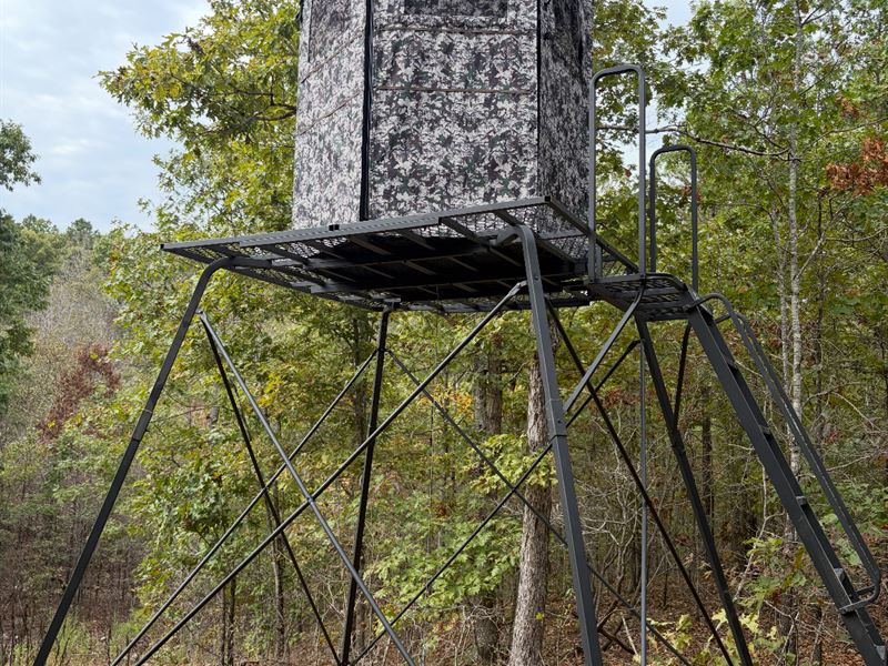 Gated Land Bordering Natl Forest : Winona : Shannon County : Missouri