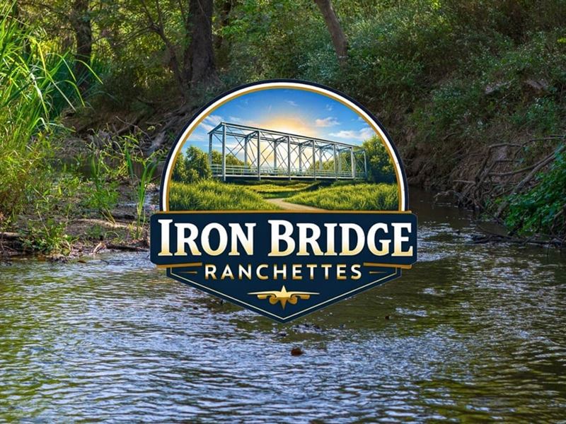 18 Acres, Red Hill Road, T-1, Ir : Calvert : Robertson County : Texas