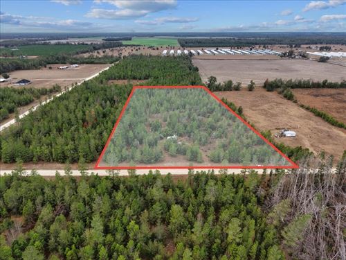 5 Acres, River Trace Subdivision : Lee : Madison County : Florida