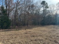 Hard-To-Find 6 Acres in Valliant : Valliant : McCurtain County : Oklahoma