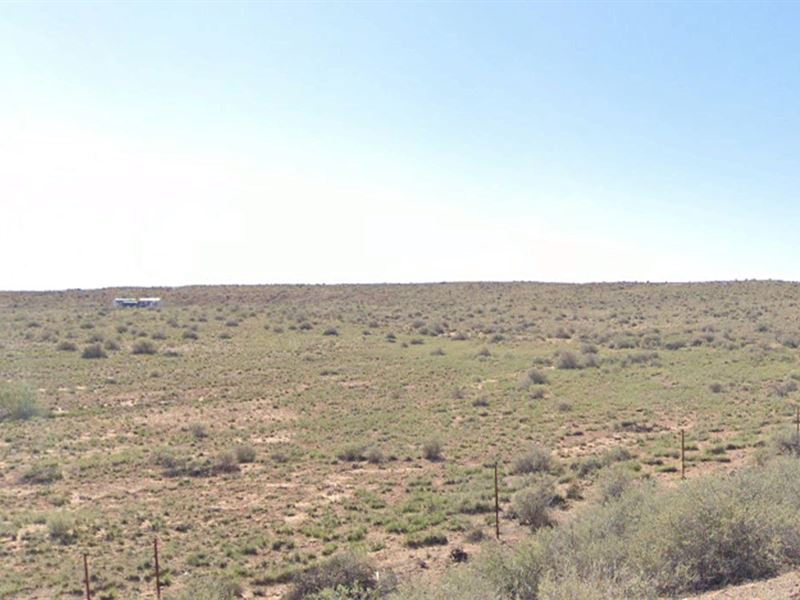 Best Adjacent Land Deal 5 Acres : Sun Valley : Navajo County : Arizona