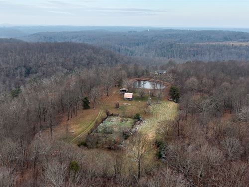 Land for Sale in Edmonson Co., KY : Mammoth Cave : Edmonson County : Kentucky