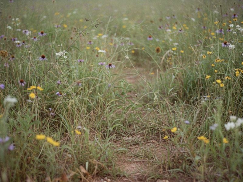 Investor Deal 5 Acres in Bennington : Bennington : Bryan County : Oklahoma