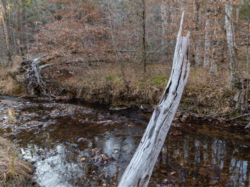 22.50 Acres $999 Down : Red Bay : Franklin County : Alabama