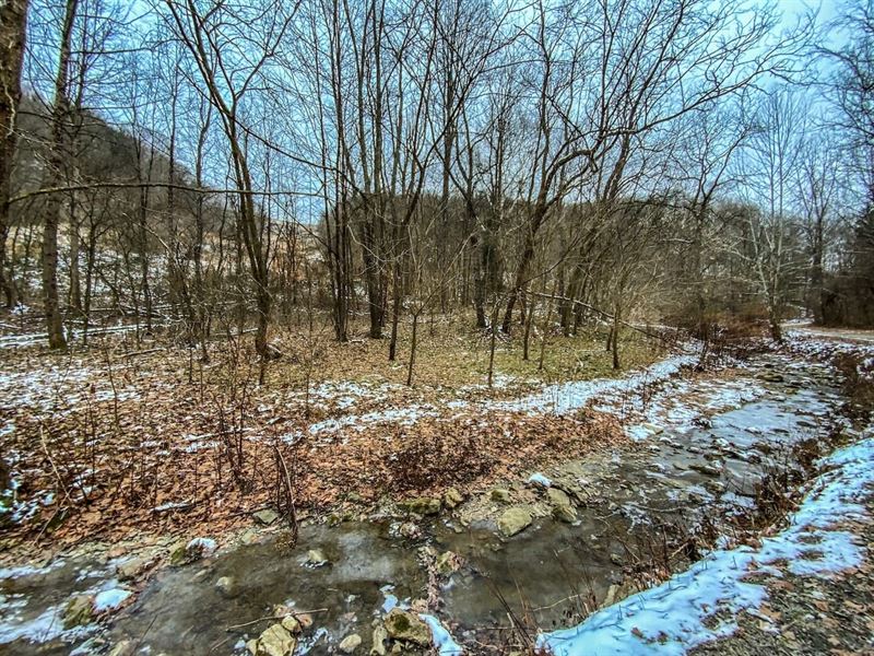 Trough Run, 51 Acres : Bellaire : Belmont County : Ohio