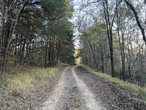 133 Acres in Yazoo County, MS : Yazoo City : Yazoo County : Mississippi