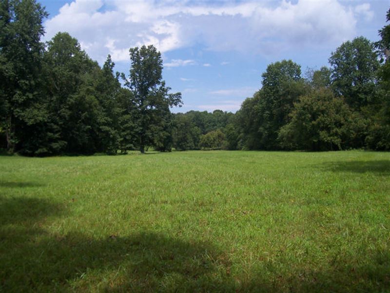 Horse Farm : Alto : Hall County : Georgia