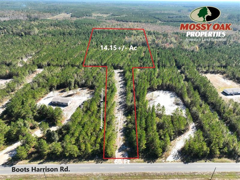 14 Ac Land for Sale Boots Harris : Hortense : Brantley County : Georgia