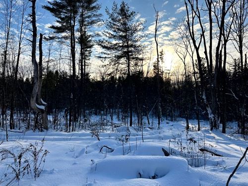 Peaceful Country Setting : Camden : Oneida County : New York