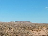 No Zoning Lot 15 Mins From Van Horn : Texas City : Culberson County : Texas