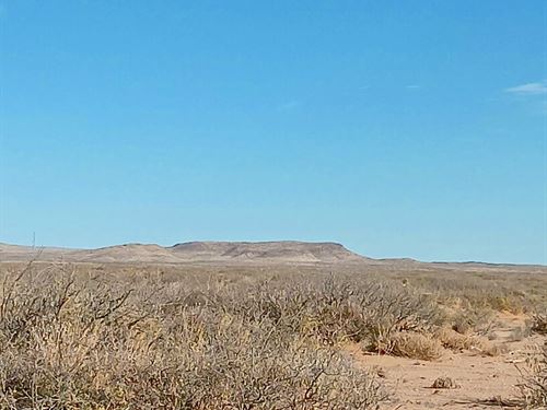 No Zoning Lot 15 Mins From Van Horn : Texas City : Culberson County : Texas